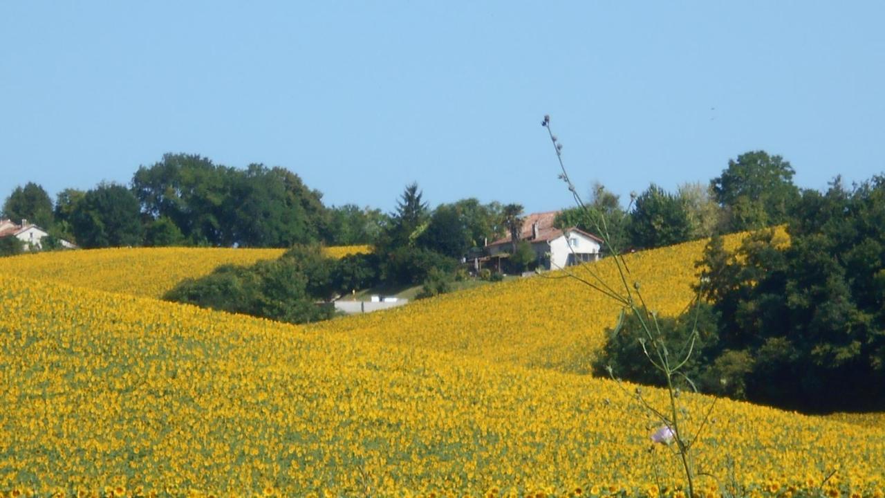 La Tranquillite, Le Repos Villa Nanteuil-Auriac-de-Bourzac Kültér fotó