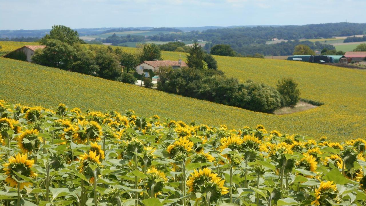 La Tranquillite, Le Repos Villa Nanteuil-Auriac-de-Bourzac Kültér fotó